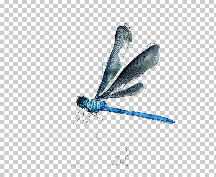 Watercolor Painting PNG, Clipart, Blue, Cartoon, Color, Dragonfly Wings, Dragonfly With Flower Free PNG Download