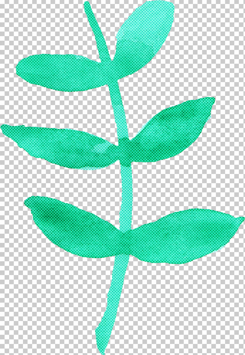 Leaf Green Plant Plant Stem Flower PNG, Clipart, Flower, Green, Leaf, Plant, Plant Stem Free PNG Download