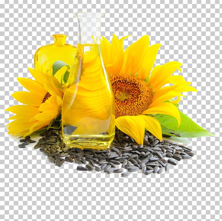 Common Sunflower Sunflower Oil Vegetable Oil Sunflower Seed PNG, Clipart, Common Sunflower, Cooking Oil, Cooking Oils, Daisy Family, Dandelion Coffee Free PNG Download