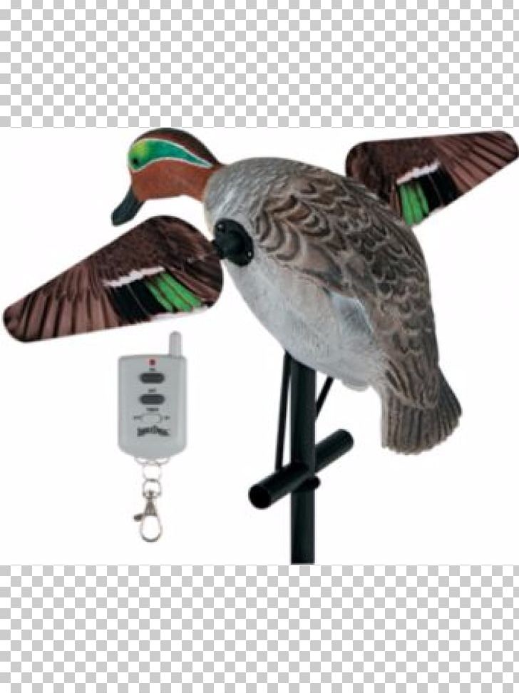 Duck Decoy Mallard Duck Decoy Hunting PNG, Clipart, Animals, Beak, Bird, Bluewinged Teal, Decoy Free PNG Download