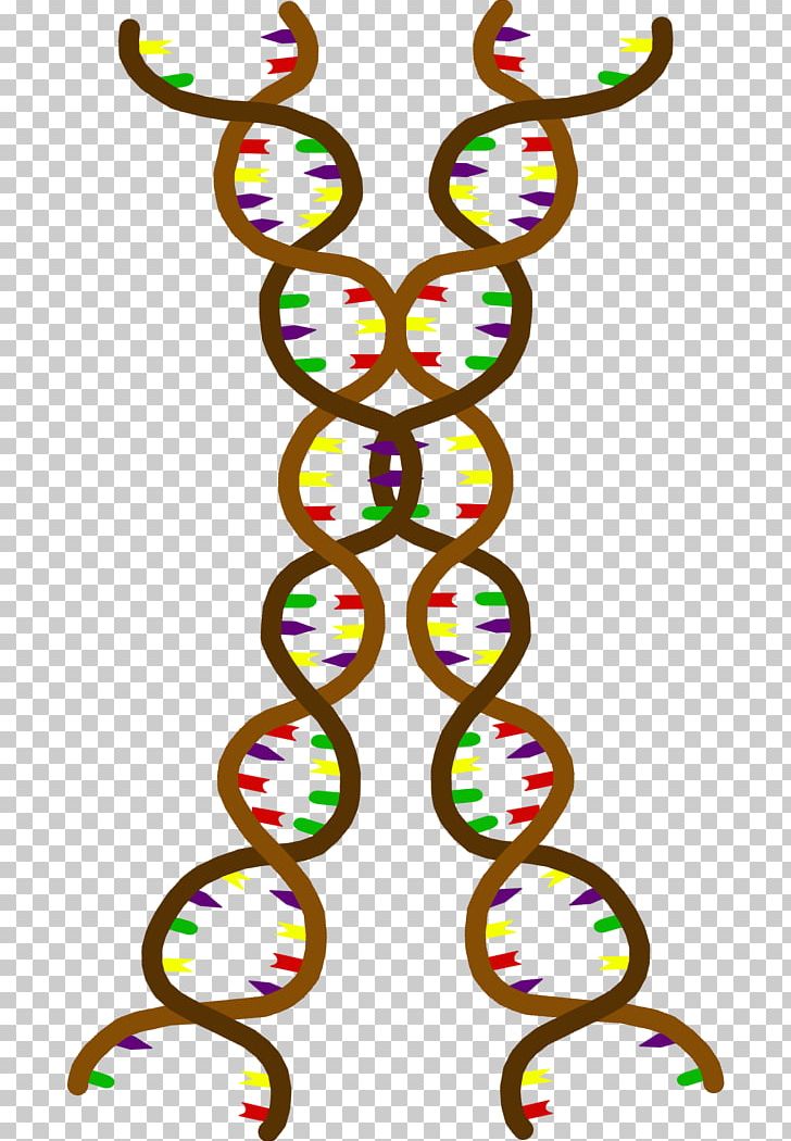 LIHKG討論區 Organism Cell Genetics Ploidy PNG, Clipart, Art, Artwork, Biologie, Cell, Circle Free PNG Download