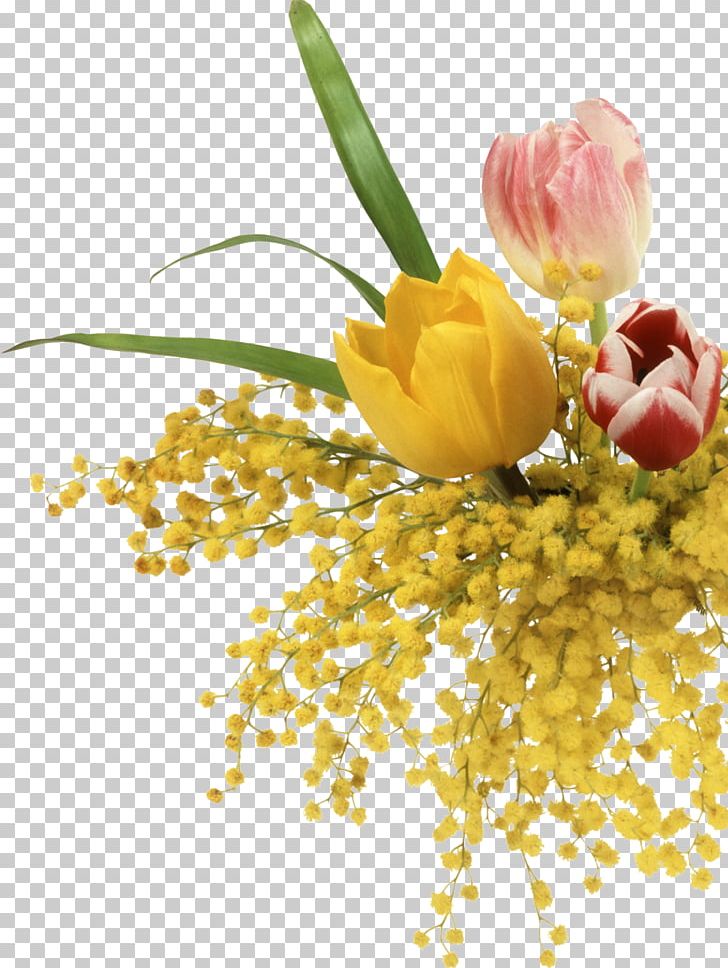 Mimosa Salad Mimosa Pudica Flower PNG, Clipart, 8 March, 05032016, Cut Flowers, Floral Design, Floristry Free PNG Download