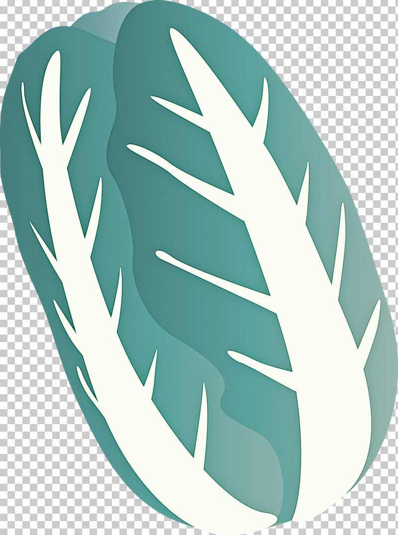 Nappa Cabbage PNG, Clipart, Feather, Leaf, Logo, Nappa Cabbage, Plant Free PNG Download