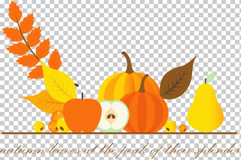 Happy Thanksgiving Happy Thanksgiving Background PNG, Clipart, Birthday, Gourd, Happy Thanksgiving, Happy Thanksgiving Background, Holiday Free PNG Download