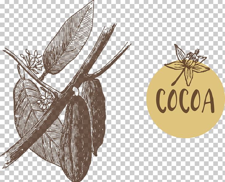 Fruit Cocoa Bean Euclidean Theobroma Cacao PNG, Clipart, Apple Fruit, Bean, Chocolate, Cocoa, Cocoa Beans Free PNG Download