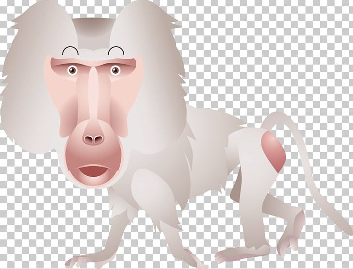 Monkey Primate Animal PNG, Clipart, Animal, Animals, Carnivoran, Cercopithecidae, Download Free PNG Download