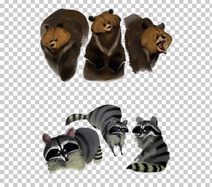 Raccoon Model Sheet Bear Drawing Sketch PNG, Clipart, Animal, Animals, Animation, Art, Baby Bear Free PNG Download