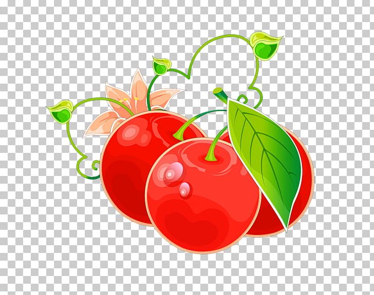 Tomato Barbados Cherry Fruit PNG, Clipart, Acerola, Acerola Family, Apple, Auglis, Barbados Cherry Free PNG Download
