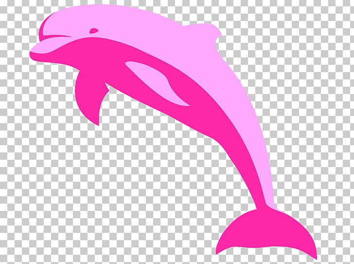 Amazon River Dolphin Free PNG, Clipart, Amazon River Dolphin, Animals, Beak, Clip Art, Computer Icons Free PNG Download