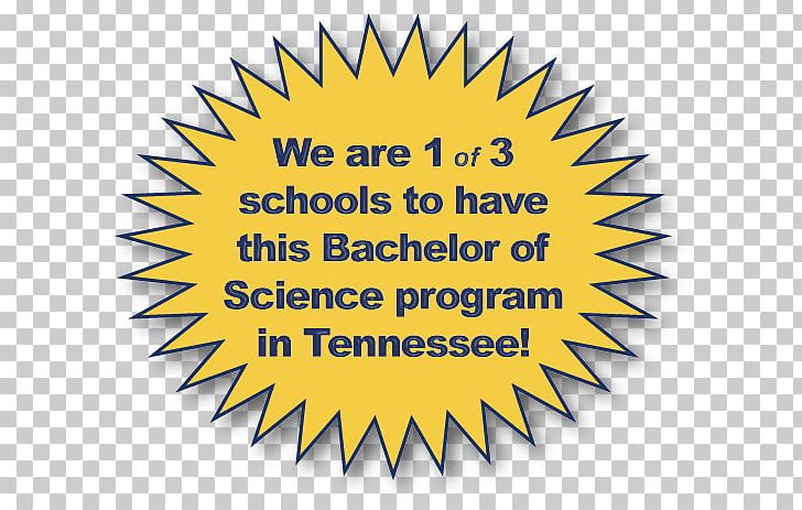 Bachelor's Degree Logo Bachelor Of Science Brand School PNG, Clipart,  Free PNG Download