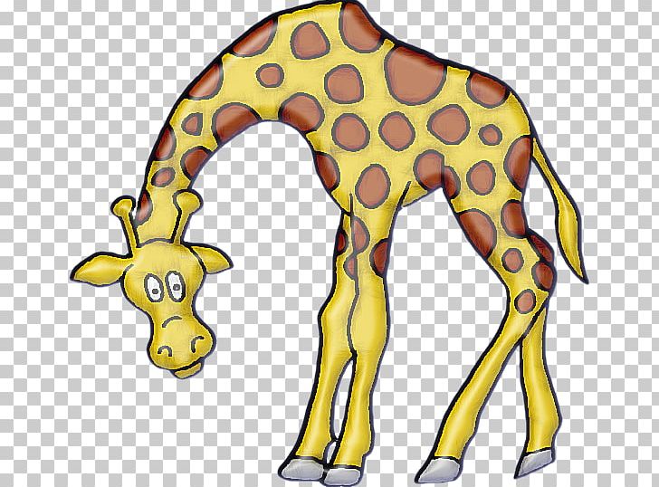 Giraffe Cat Terrestrial Animal Dog PNG, Clipart, Animal, Animal Figure, Animals, Bear, Bem Free PNG Download