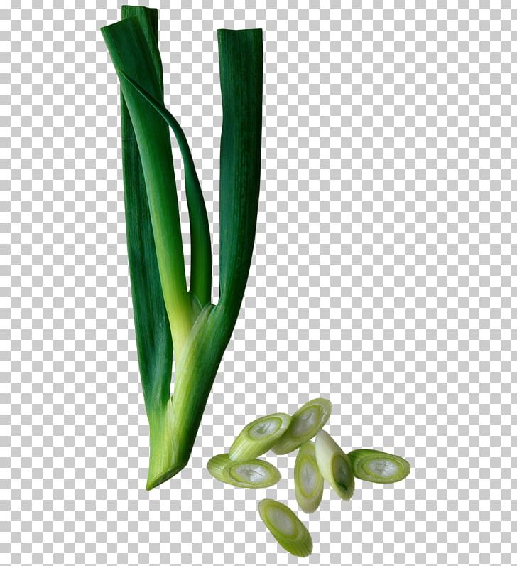 Chinese Cuisine Asian Cuisine Chives Onion Scallion PNG, Clipart, Allium Fistulosum, Asian Cuisine, Background Green, Commodity, Condiment Free PNG Download