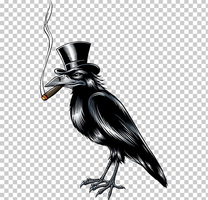 Graphics Crow Drawing PNG, Clipart, Animals, Art, Beak, Bird, Bird Bird Free PNG Download