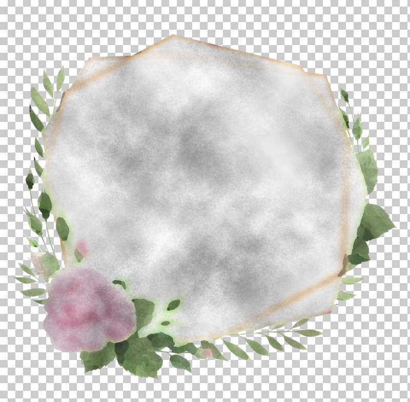 Petal Flower PNG, Clipart, Flower, Petal Free PNG Download