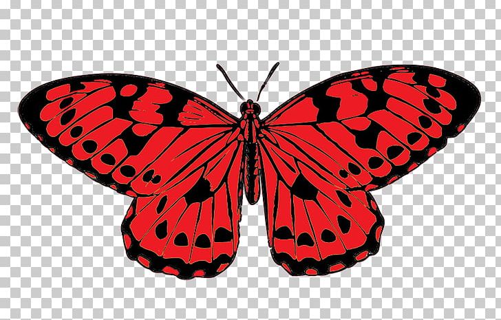 Butterfly Red PNG, Clipart, Arthropod, Brush Footed Butterfly, Butterfly, Classic Butterfly Cliparts, Drawing Free PNG Download