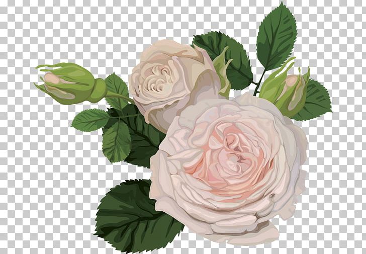 Garden Roses Flower China Rose Portable Network Graphics Floral Design PNG, Clipart, Artificial Flower, Cabbage Rose, China Rose, Cut Flowers, Floral Design Free PNG Download