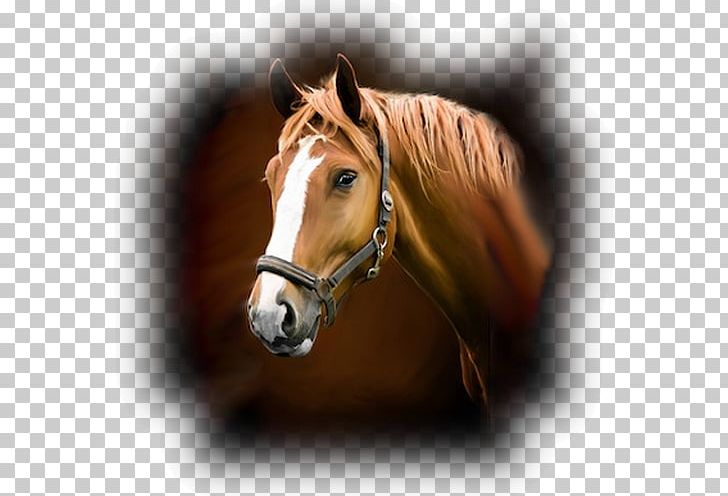 Horse Stable Wall Decal Sticker Barn PNG, Clipart, Adhesive, Animals, Barn, Bridle, Decal Free PNG Download