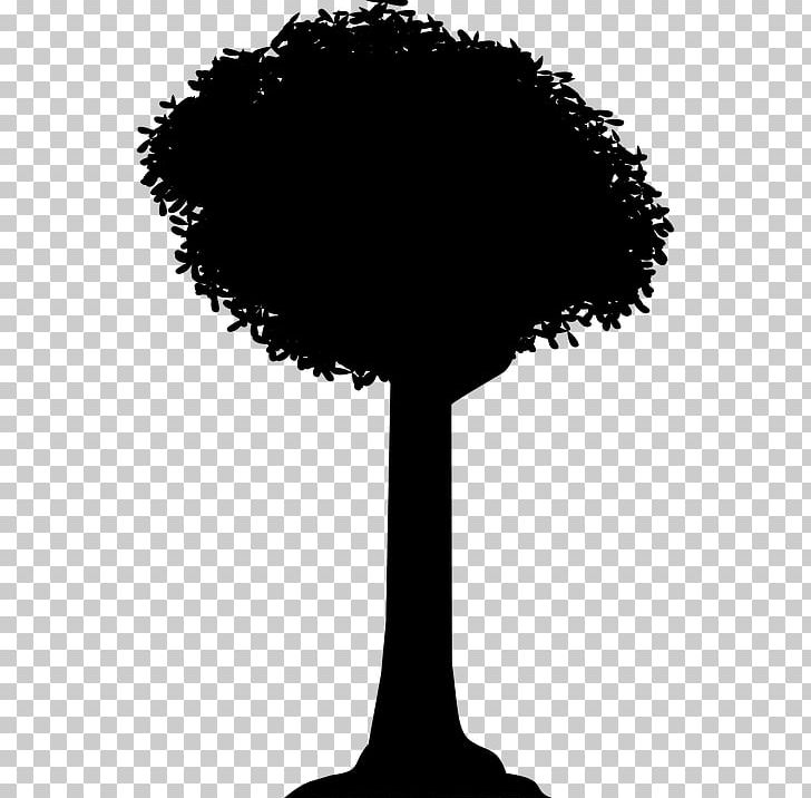 Tree Silhouette Shadow PNG, Clipart, Black And White, Monochrome Photography, Nature, Photography, Plane Free PNG Download