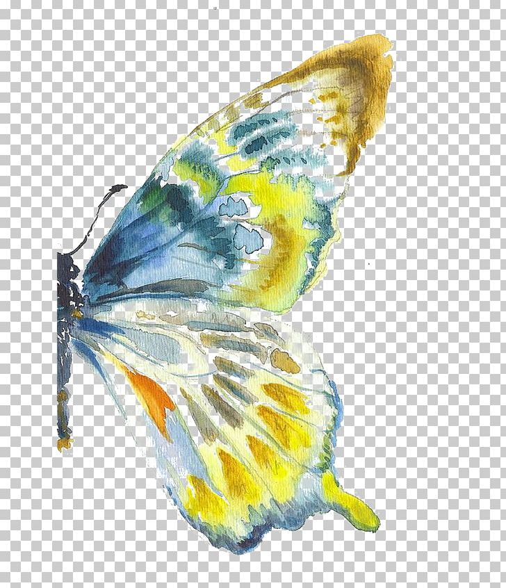 Butterfly Watercolor Painting Drawing Art PNG, Clipart, Art, Art Museum, Blue, Butterflies, Butterfly Group Free PNG Download