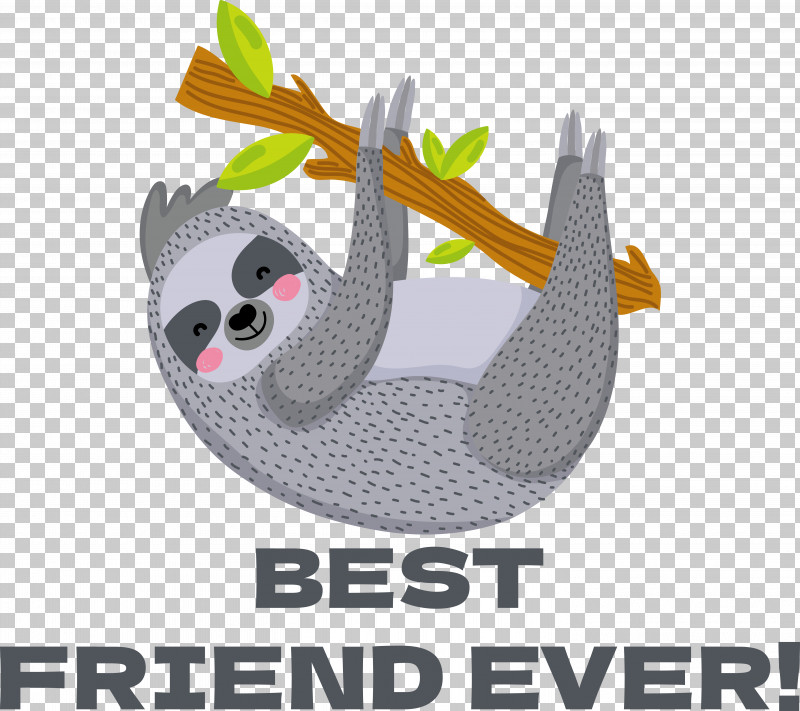 Tiger Koala Dog Lion Cat PNG, Clipart, Cat, Dog, Drawing, Koala, Lion Free PNG Download