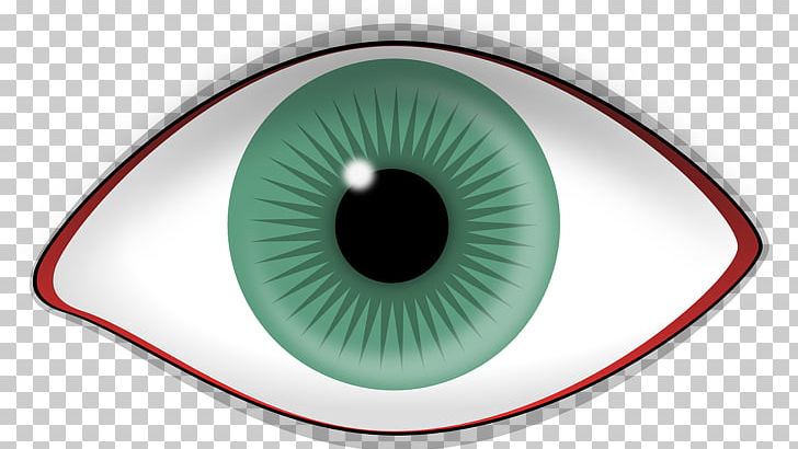 Iris Human Eye Retina Visual Perception PNG, Clipart, Closeup, Disease, Eye, Eye Drops Lubricants, Eyelash Free PNG Download