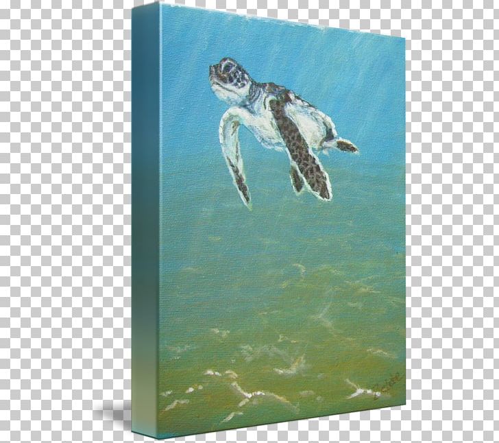 Loggerhead Sea Turtle Kind Art PNG, Clipart, Art, Canvas, Com, Ecosystem, Fauna Free PNG Download