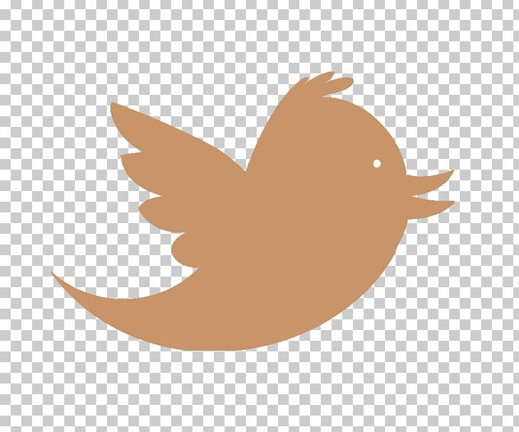Bird Logo Business PNG, Clipart, Advertising, Animals, Beak, Bird, Bird Icon Free PNG Download