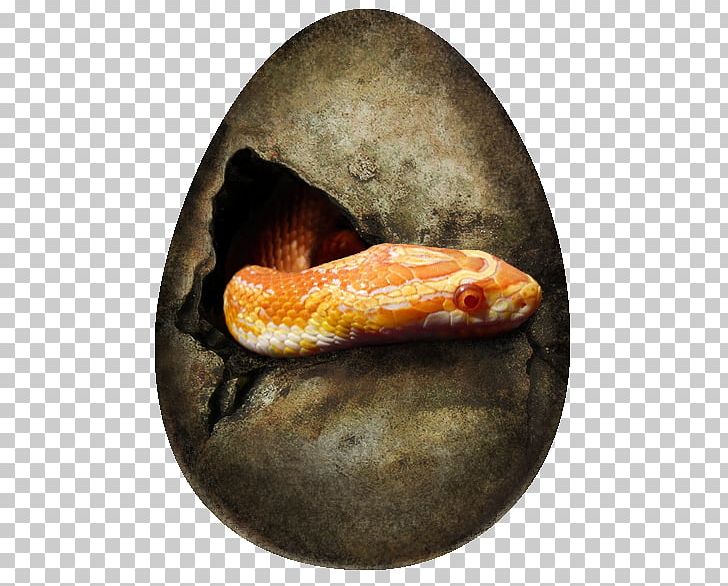 Boa Constrictor Snake Easter Egg PNG, Clipart, Boa Constrictor, Boas, Deviantart, Easter, Easter Egg Free PNG Download