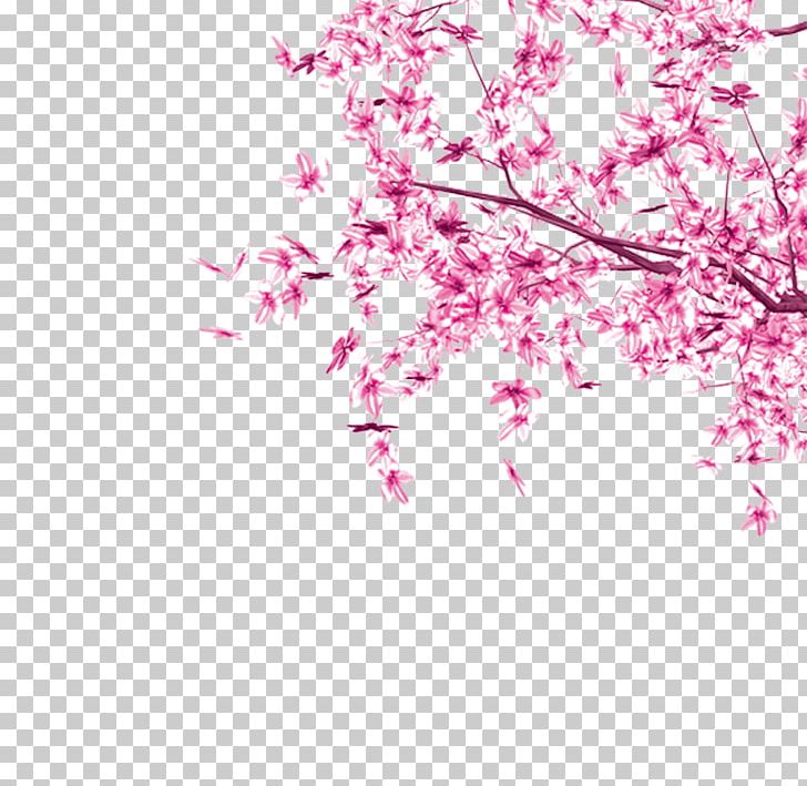 Cherry Blossom Pink Tree Leaf PNG, Clipart, Autumn Leaves, Blossom, Branch, Cherry Blossom, Color Free PNG Download