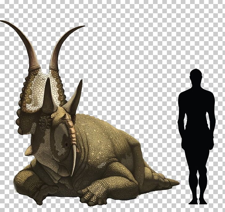 Diabloceratops Triceratops Avaceratops Chasmosaurus Scelidosaurus PNG, Clipart, Avaceratops, Cattle Like Mammal, Chasmosaurus, Chordata, Diabloceratops Free PNG Download