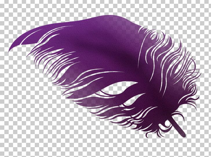 Feather Violet PNG, Clipart, Closeup, Color, Computer, Download, Eyelash Free PNG Download