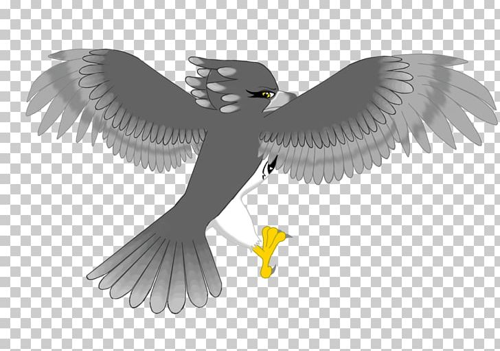 Skegness Butlins YouTube Eagle Beak PNG, Clipart, 29 December, Beak, Bird, Bird Of Prey, Butlins Free PNG Download