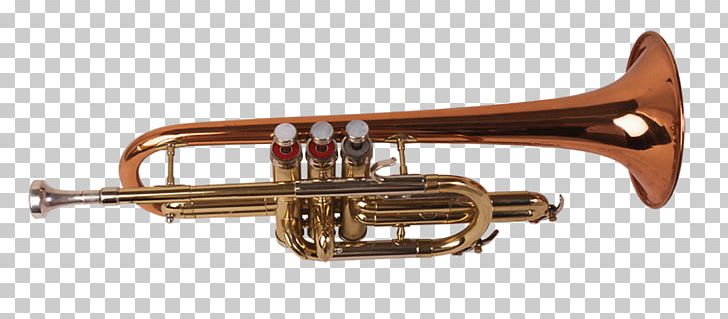 Trumpet Musical Instrument Tuba Trombone Flugelhorn PNG, Clipart, Alto Horn, Brass, Brass Instrument, Brass Instruments, Bugle Free PNG Download