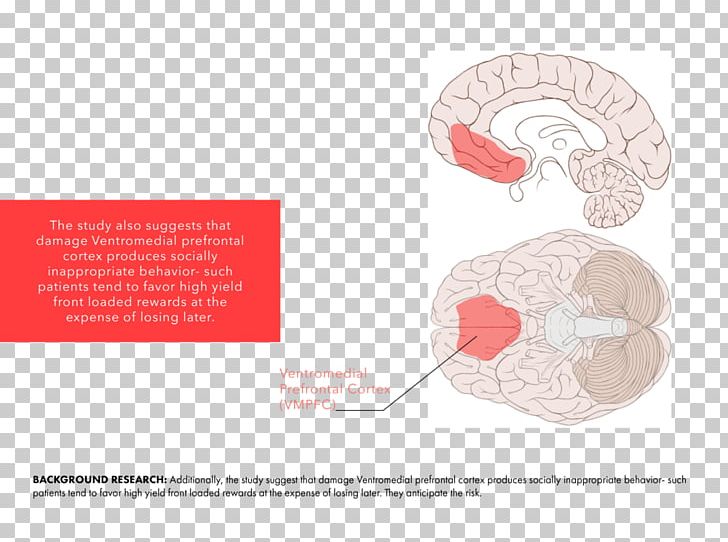Ventromedial Prefrontal Cortex Diagram Somatic Marker Hypothesis Chart PNG, Clipart, Bar Chart, Brain, Cerebral Cortex, Chart, Diagram Free PNG Download