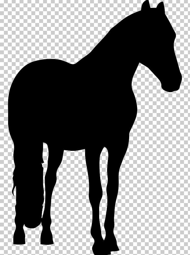 Shire Horse Friesian Horse Andalusian Horse Percheron Appaloosa PNG, Clipart, Animal, Appaloosa, Black, Black And White, Bridle Free PNG Download