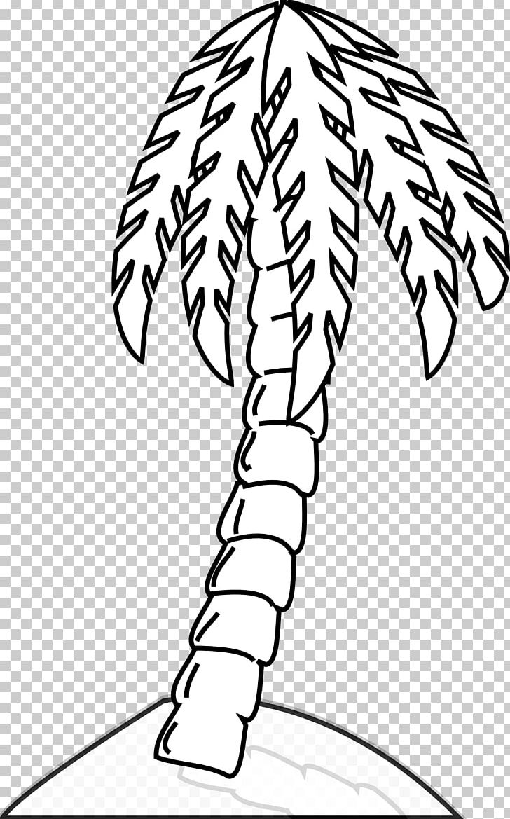 Arecaceae Tree Drawing Black And White PNG, Clipart, Area, Arecaceae, Art, Black And White, Branch Free PNG Download