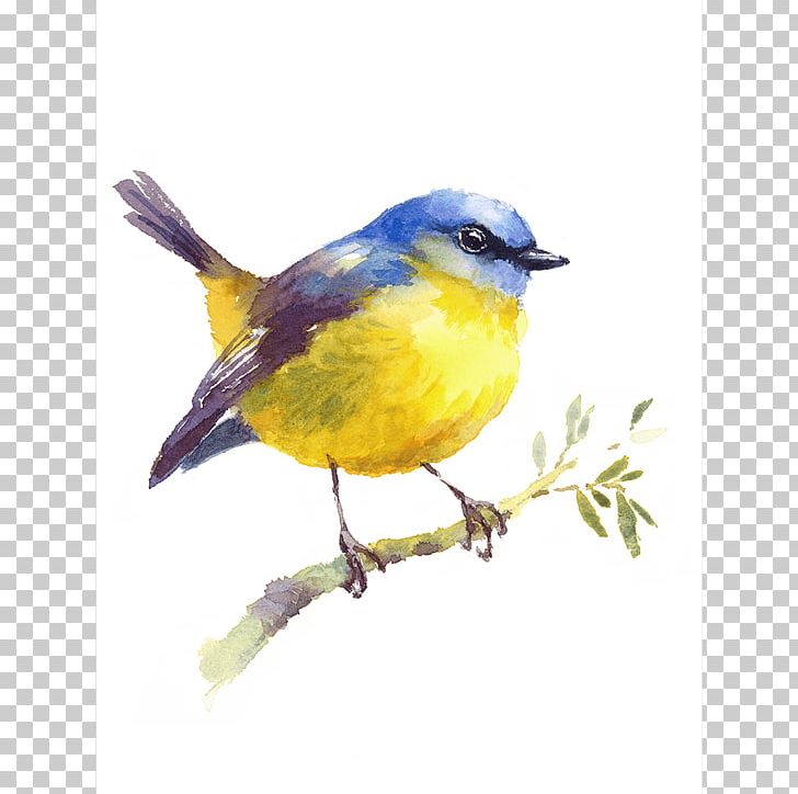 Bird Watercolor Painting Drawing PNG, Clipart, American Robin, Animals, Art, Beak, Bird Free PNG Download
