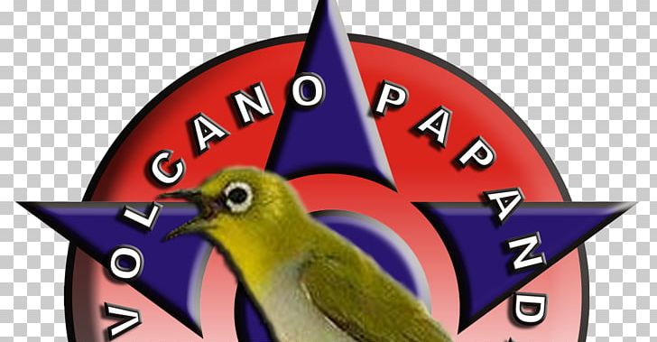 Beak Typical White-eyes PNG, Clipart, Beak, Bird, Organism, Others Free PNG Download