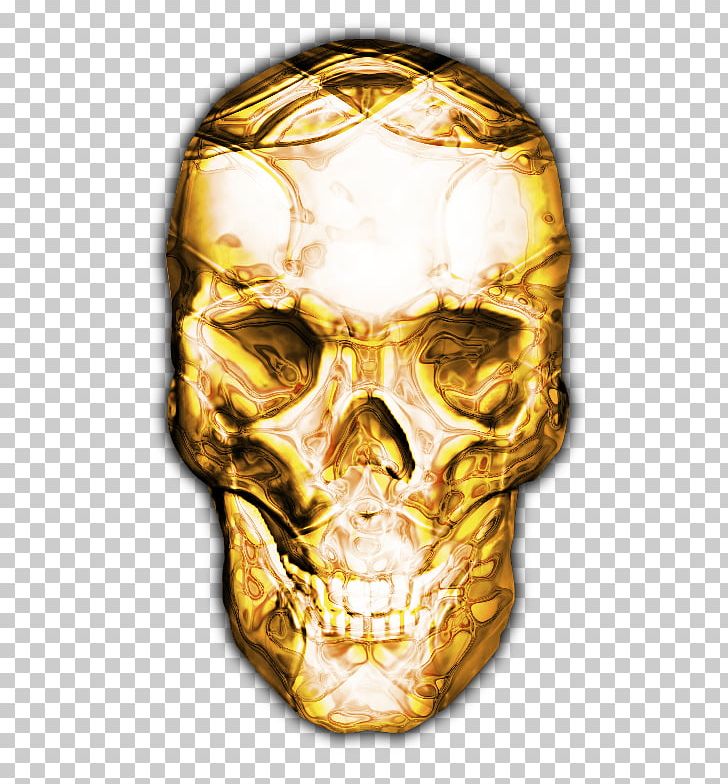Crystal Skull Human Skeleton Jaw PNG, Clipart, Bone, Computer, Computer Software, Crystal Skull, Fantasy Free PNG Download