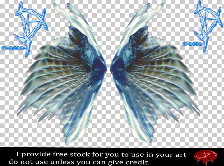 Fairy Titania Feather Airbrush Rendering PNG, Clipart, 9 September, Airbrush, Beak, Credit, Deviantart Free PNG Download