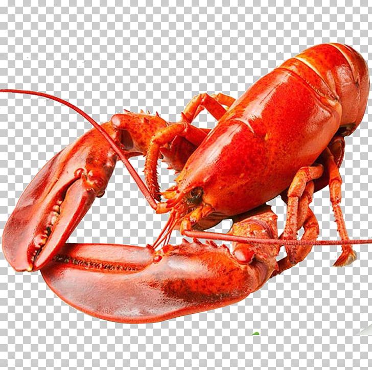 Lobster Singapore Seafood Black Pepper Crab PNG, Clipart, Animals, Animal Source Foods, Boston, Canada, Cooked Free PNG Download