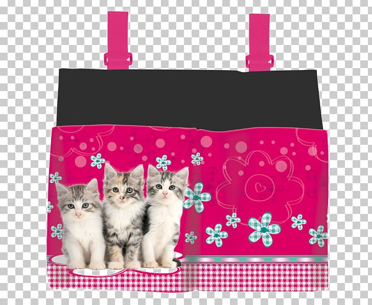 Pen & Pencil Cases Cat School Kapsář Briefcase PNG, Clipart, Animals, Biano, Briefcase, Cat, Cat Like Mammal Free PNG Download