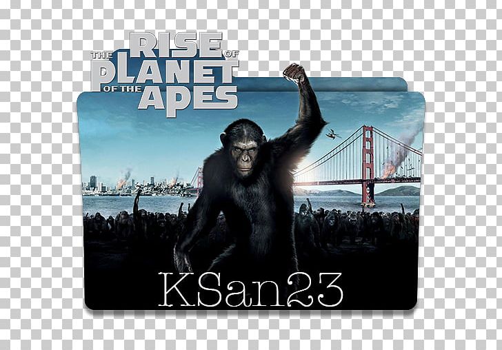 Planet Of The Apes YouTube Will Rodman Film PNG, Clipart, Album Cover, Ape, Charlton Heston, Dawn Of The Planet Of The Apes, Film Free PNG Download
