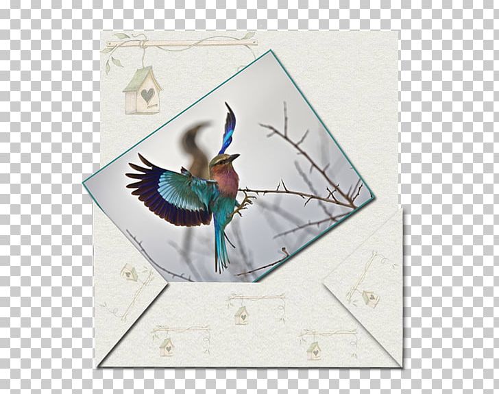 Book Parchment Writing Feather PNG, Clipart, 20 April, Beak, Bird, Book, Email Free PNG Download