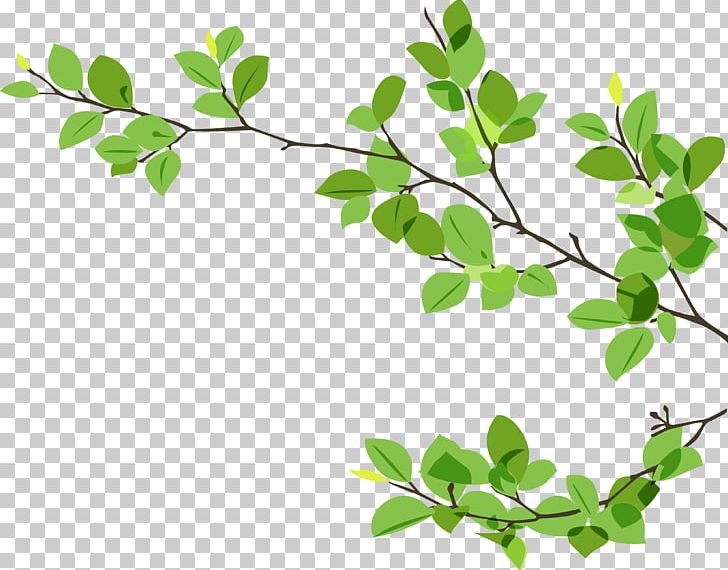 Branch Leaf Twig PNG, Clipart, Branch, Bud, Encapsulated Postscript, Eucalyptus, Grass Free PNG Download