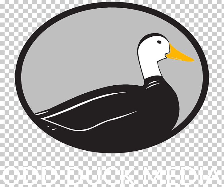 Odd Duck Media Google My Business Logo PNG, Clipart, Advertising, Beak, Bird, Business, Duck Free PNG Download