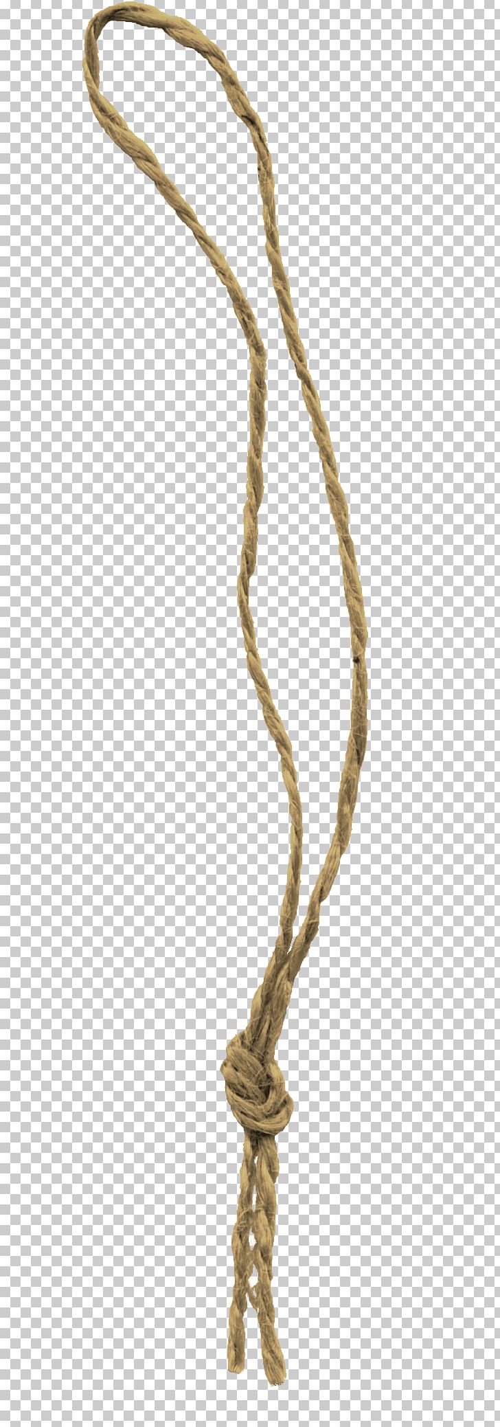 Paper Rope PNG, Clipart, Bow, Branch, Chain, Concepteur, Designer Free PNG Download