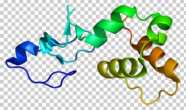 Protein P53 RFFL Gene Ubiquitin Ligase PNG, Clipart, Artwork, Dictionary, English, Ensembl, Entrez Free PNG Download