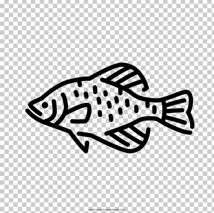 Black Crappie Freshwater Fish Fresh Water PNG, Clipart, Area, Art, Black, Black And White, Black Crappie Free PNG Download