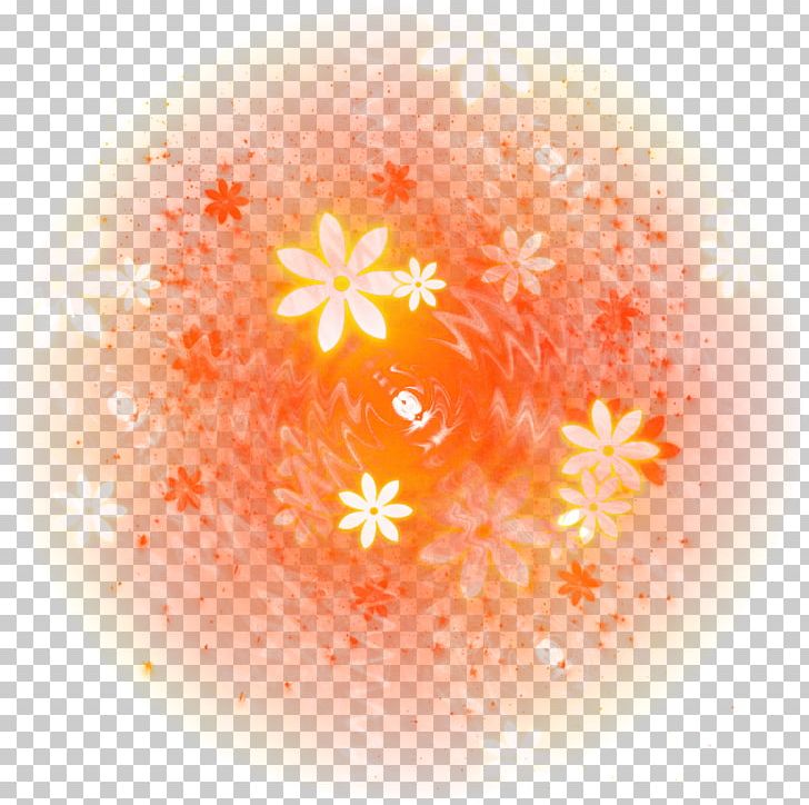 Desktop Photography Silhouette Orange Portrait PNG, Clipart, Animals, Black, Circle, Closeup, Color Free PNG Download